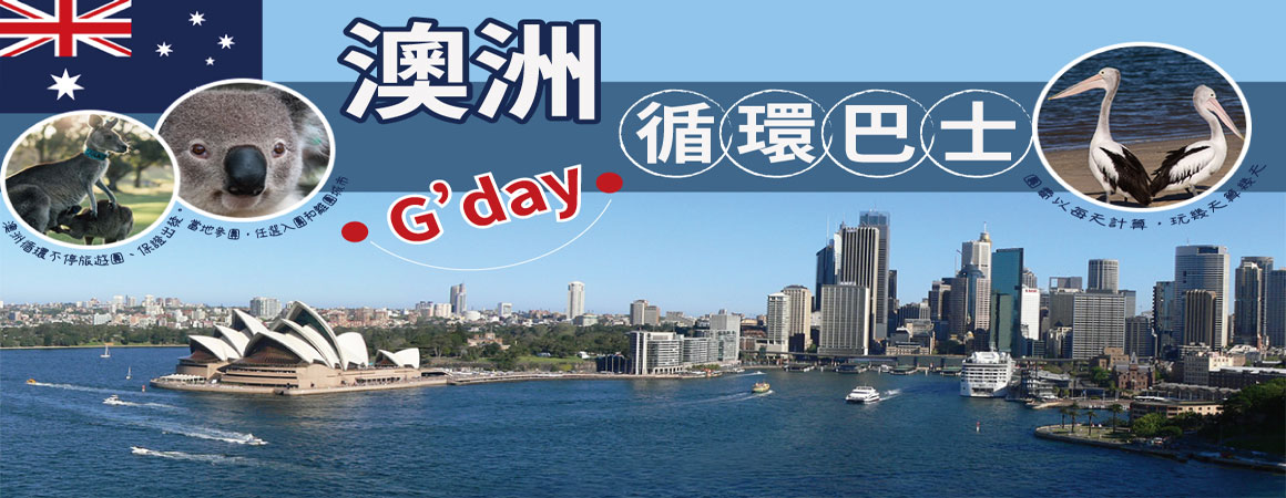 澳洲循環巴士-當地團